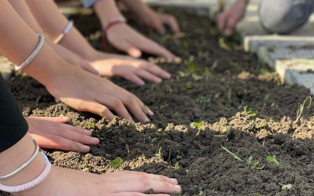 Дан планете Земље